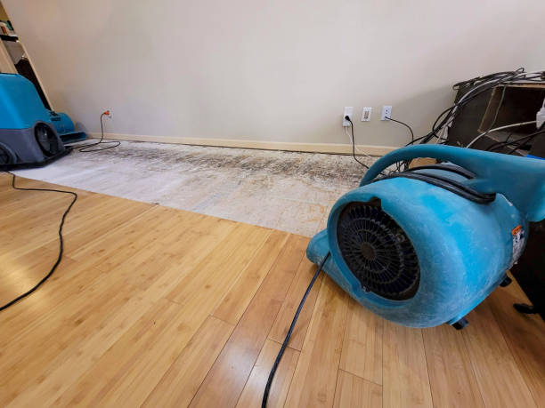 Professional Burst Pipe Water Damage technician working in Jefferson, SC